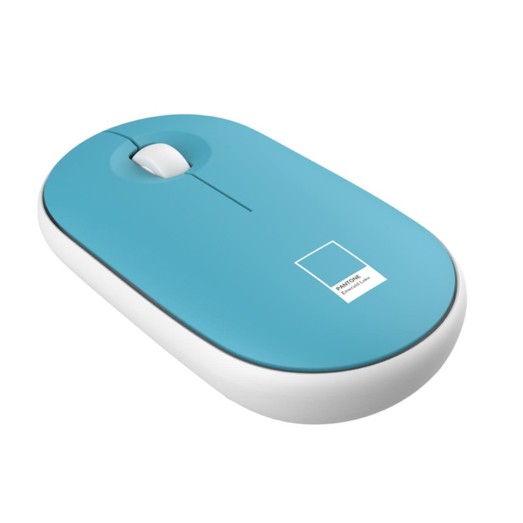 Custodia PC 15.6 con Mouse